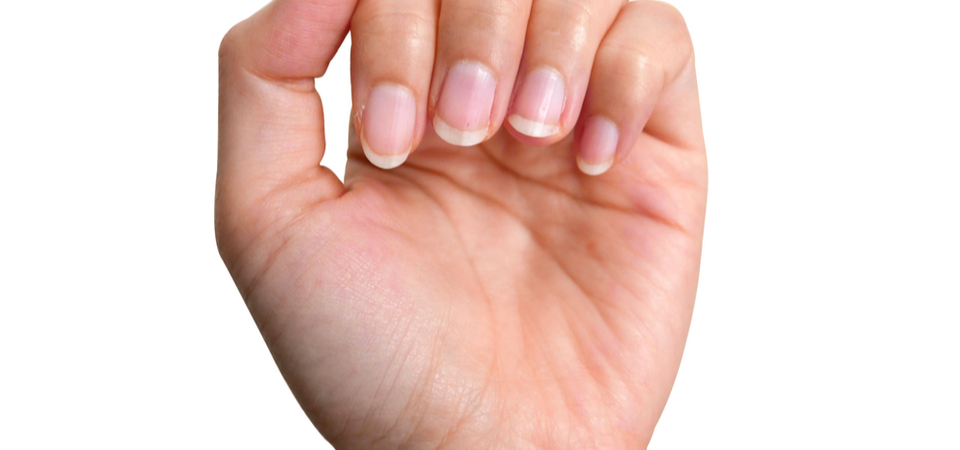 fingernails